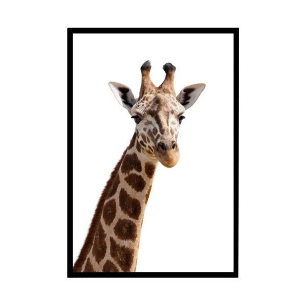 Baby Giraffe head Poster against a plain white background.
