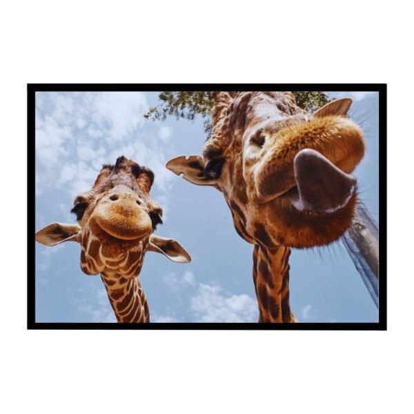 Funny giraffe sticking out its tongue – black and white wildlife photo print for playful wall decor.